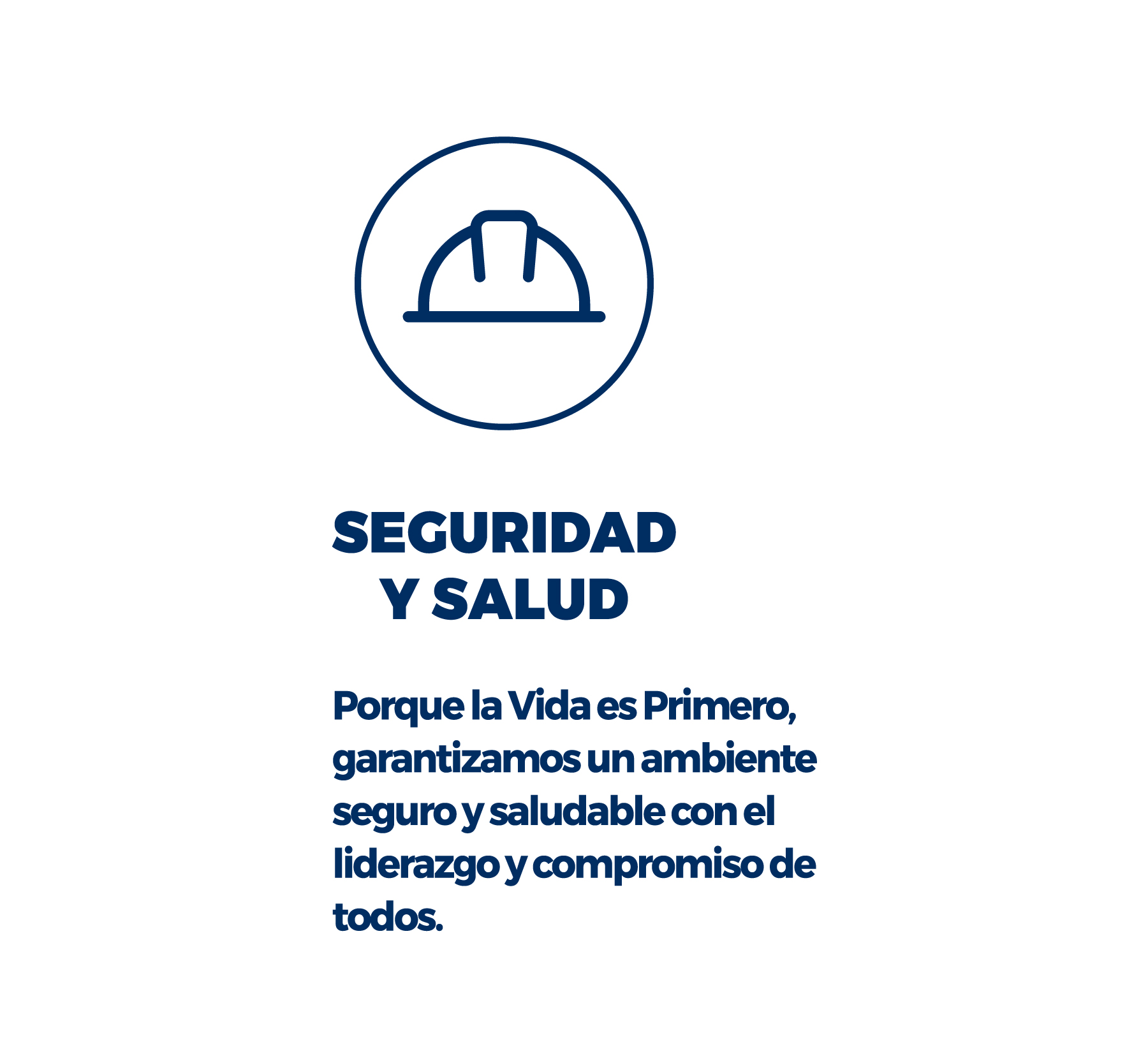 Seguridad y Salud